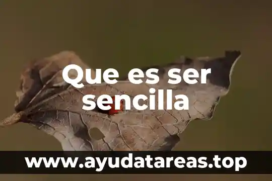Que es ser biker 3 Que es ser sencilla