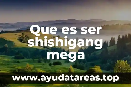 Que es ser shishigang mega