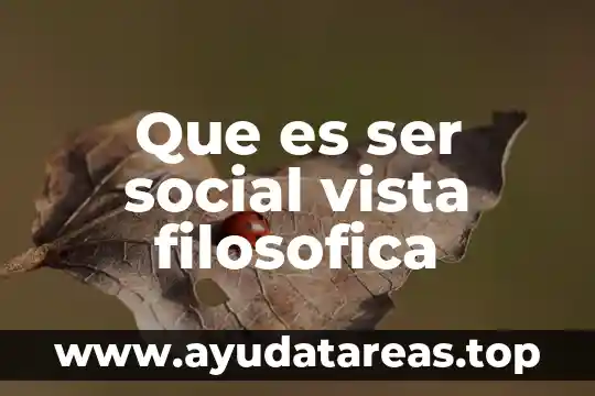 Que es ser social vista filosofica