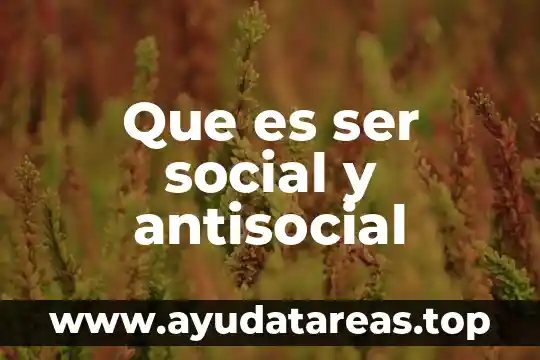 Que es ser trapito 8 Que es ser social y antisocial