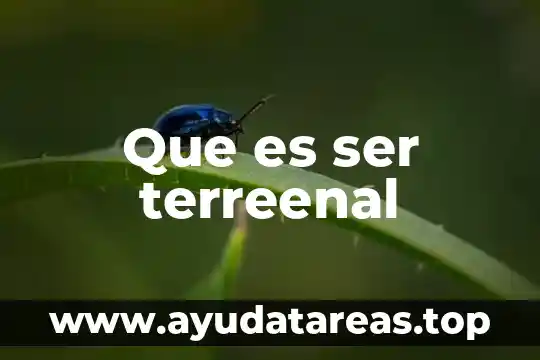 Qué es ser un embajador 6 Que es ser terreenal