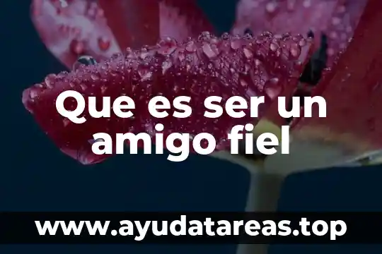 Que es ser un amigo fiel