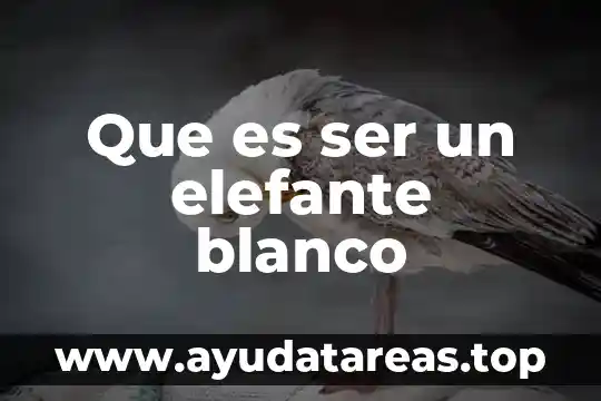Que es un isomero y sus tipos 3 Que es ser un elefante blanco