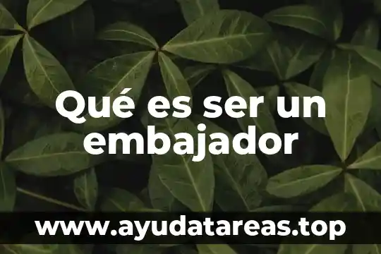 Que es ser mediterraneo 3 Qué es ser un embajador