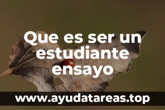 Que es ser un estudiante integro 5 Que es ser un estudiante ensayo