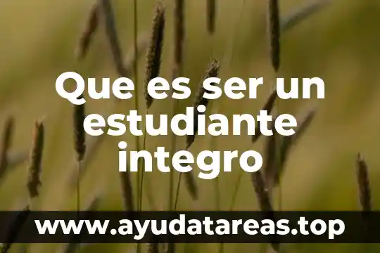Que es ser un estudiante ensayo 5 Que es ser un estudiante integro