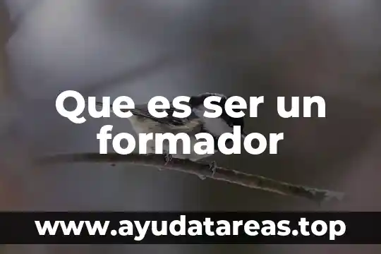 Que es ser un formador