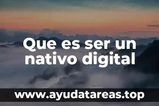 Que es ser un nativo digital
