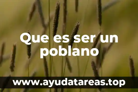 Ensayo de una encuesta que es ser mexicano 5 Que es ser un poblano