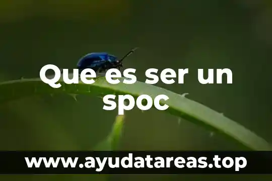 Que es ser un spoc