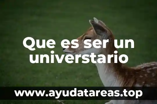 Que es ser un universtario