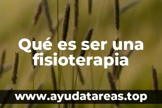 Qué es ser una fisioterapia