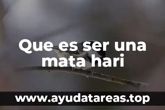 Que es ser un modulista 7 Que es ser una mata hari
