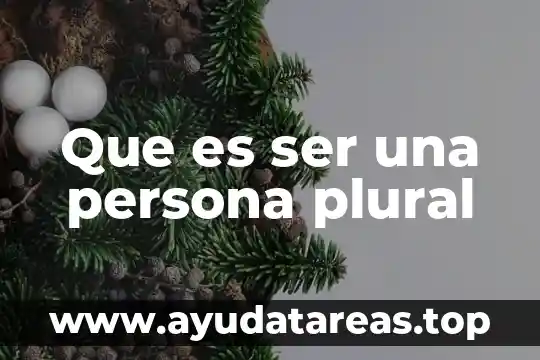 Que es numero plural y singular 3 Que es ser una persona plural