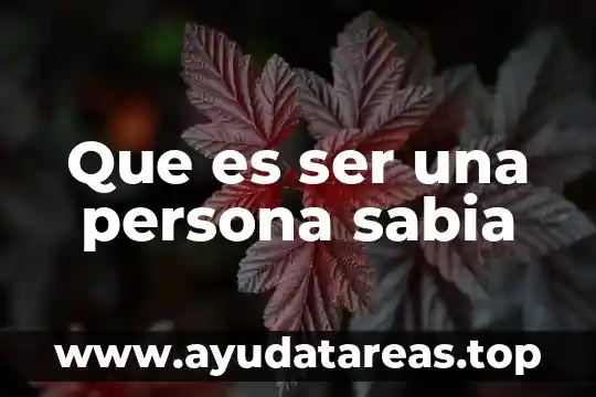 Que es una persona cuidadora 6 Que es ser una persona sabia