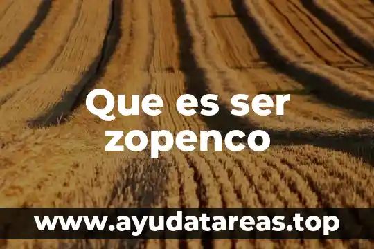 Que es ser zopenco