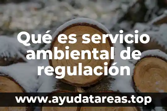 Que es la regulación del agua 7 Qué es servicio ambiental de regulación
