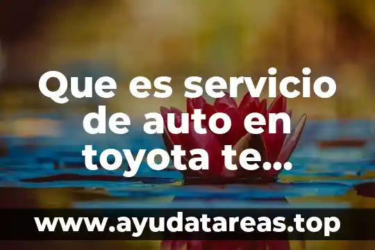 ¿Qué es mejor te de perejil o agua de oregano? 4 Que es servicio de auto en toyota te cobran