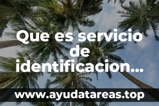 Qué es el número de identificación tributaria 5 Que es servicio de identificacion de usuario