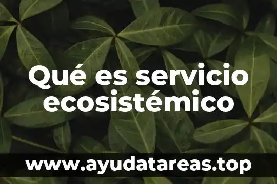 Que es una metáfora en artes 4 Qué es servicio ecosistémico