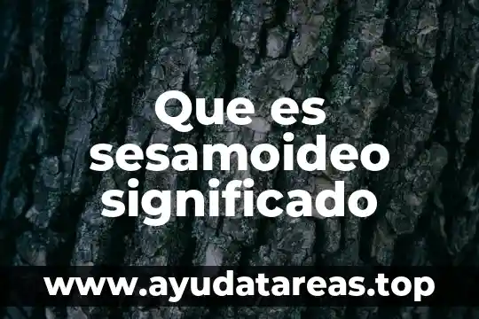 Que es a cabo significado 6 Que es sesamoideo significado
