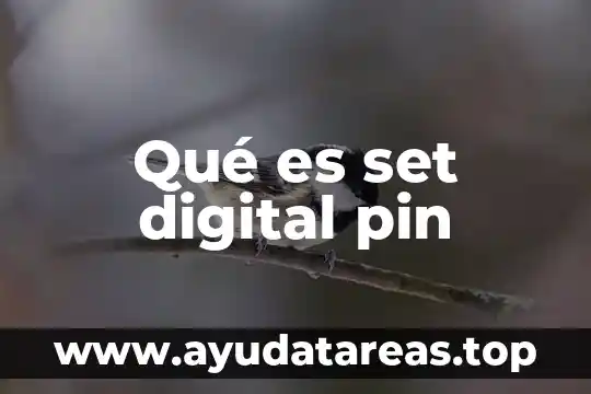 Qué es la prueba pin hole 8 Qué es set digital pin