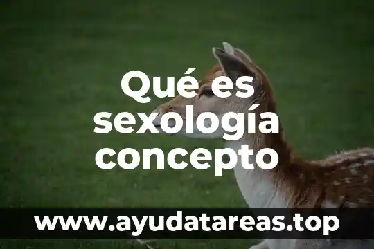 No todo lo que es licito es honesto ejemplo 7 Qué es sexología concepto