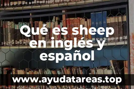 Significado de que es la energia en ingles 8 Qué es sheep en inglés y español