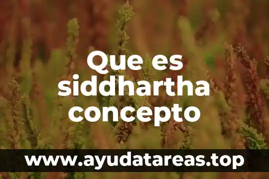 Que es siddhartha concepto