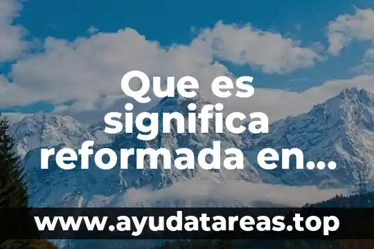 Que es el imss ejemplo 5 Que es significa reformada en materia de contabilidad