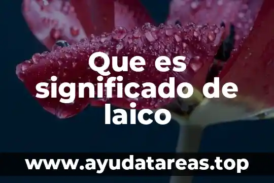 El significado de que es un cartel 5 Que es significado de laico