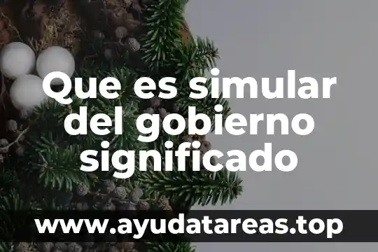 Qué es un servidor web significado 3 Que es simular del gobierno significado