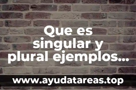 Que es ser una persona plural 4 Que es singular y plural ejemplos en ingles