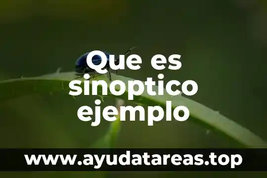 Que es sinoptico ejemplo