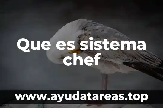 Que es es un chef en artes culinarias 5 Que es sistema chef
