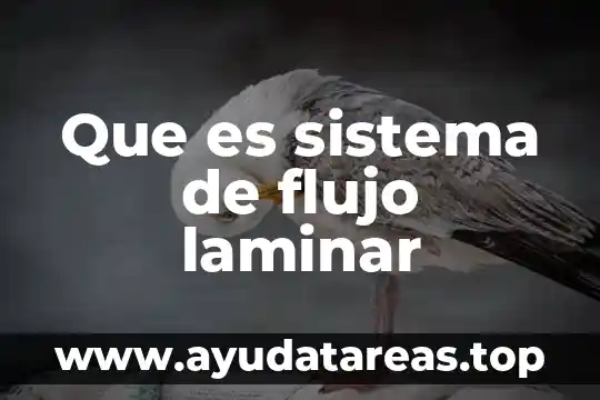 Que es sistema de flujo laminar