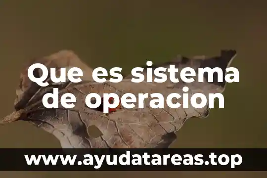 Que es una operacion de entrada de datos 8 Que es sistema de operacion