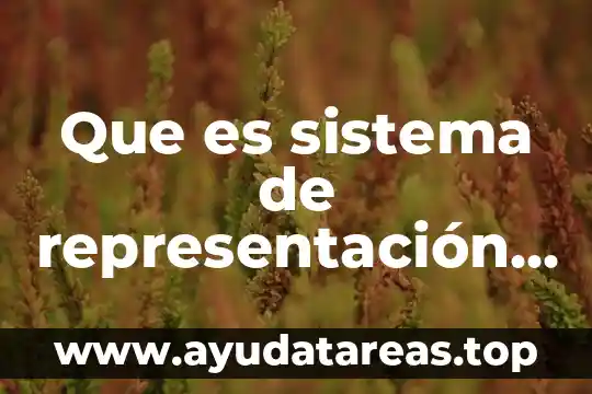 Qué es el nuevo sistema acusatorio adversarial 5 Que es sistema de representación proporcional