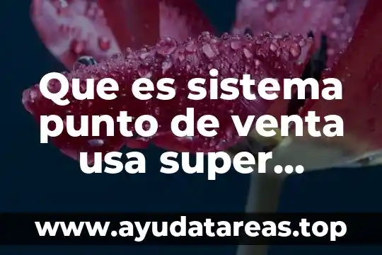 Para que es buena la super luna 3 Que es sistema punto de venta usa super willys