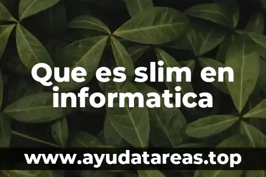 Que es ser tecnico en informatica 3 Que es slim en informatica