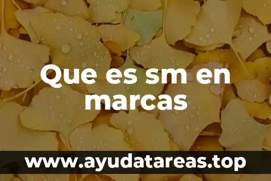 Que es sm en marcas