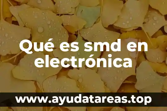 Que es neandertal significado 7 Qué es smd en electrónica