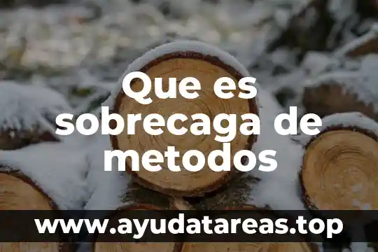 Que es sobrecaga de metodos