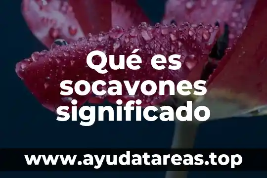 Que es flagrancia significado 5 Qué es socavones significado