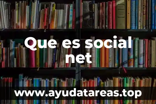Que es y que significa com net org es mx 4 Que es social net
