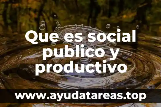 Que es social publico y productivo