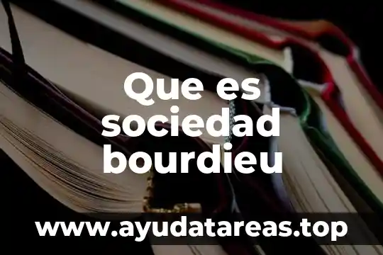 Que es actividad sociedad 5 Que es sociedad bourdieu