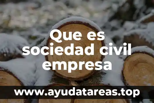 Que es el area administrativa y operativa de una empresa 6 Que es sociedad civil empresa