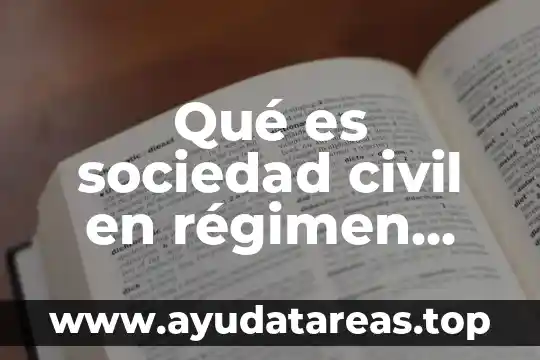 Qué es sociedad civil en régimen jurídico