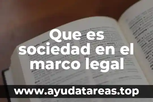 Que es un marco teórico de embarazo en adolescentes 6 Que es sociedad en el marco legal
